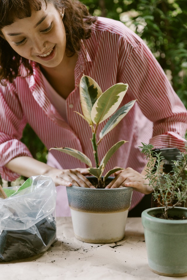 How to make homemade compost for growing flowers at home