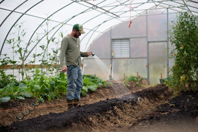 How to ventilate greenhouses in winter?